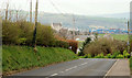 The Ferris Bay Road, Islandmagee (2)