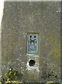 Benchmark plate on the trig point