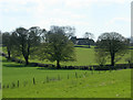 ST6150 : 2010 : Trees and pasture and Turner's Court Farm by Maurice Pullin