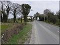 H3736 : Nutfield Road, Camtrone by Kenneth  Allen