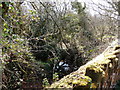 The view upstream from Brimford bridge, the first over the river Torridge