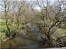 SS3417 : The view downstream from Ashmansworthy Bridge by Roger A Smith