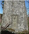 Benchmark on the triangulation pillar, Thorne Moor, Buckland Brewer