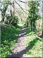 Footpath, Ebbesbourne Wake