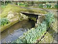 Footbridge over the mill leat, Docton Mill garden, Milford