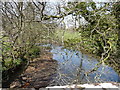 The view upstream from Haytown Bridge on the river Torridge