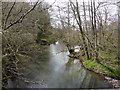 The view upstream from Sheepwash Bridge on the river Torridge