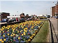 Daffodils on Bexhill Seafront