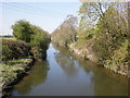 River Brue, Bason Bridge