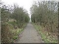 Dismantled Railway near Marnock