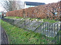 Middle Wallop - Gravestones