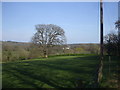 Looking across the valley from Cwrt-yr-ala