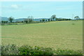 S3423 : Farmland at Ballynoran by Graham Horn