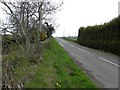 J4395 : Hillhead Road, Burnside by Kenneth  Allen