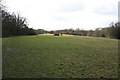 Footpath to Buxted Park