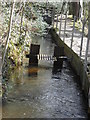 The mill race feeder at Wellbrook Beetling Mill,Cookstown