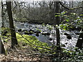 The Ballinderry river at Wellbrook Beetling Mill,Cookstown