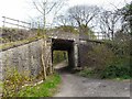 Under the Railway at Apethorn