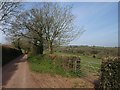 SS9706 : Lane near Billingsmoor by Derek Harper