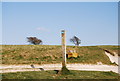 TQ5700 : South Downs Waymark, Bourne Hill by N Chadwick