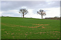 Field off Newdigate Road