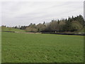 View from Donaghrisk Old Graveyard