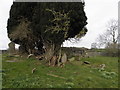 Donaghrisk Old Graveyard