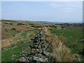 The Lang Dyke along the Bachille