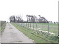 The lane to Tullyhogue Fort