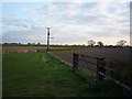 Fields from Northgate Lane