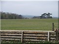 Swell Wold Cottages