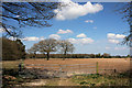 Fields between Cranwich and Methwold