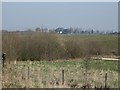 Ferryboat Fields