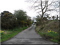 Farm road leading to Brigghills Farm