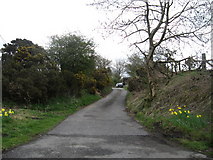 NT2094 : Farm road leading to Brigghills Farm by James Denham