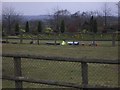 Miniature Railway disappearing at Twycross Zoo