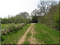 Bridleway to Lee Place Lodge