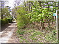 TM4460 : Fitche's Lane footpath to B1069 Snape Road & Sandlings Walk by Geographer