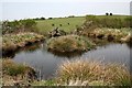 Pond near Hardwick Farm