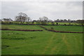 Fields by the footpath to Firle