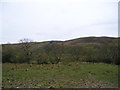 View towards moorland