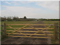 Gate and farm track to Red House Farm