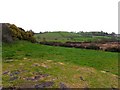 Eskermore Townland