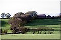 Hill House Fold and old quarry