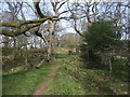 The path approaching Castell Morgraig