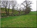 Camowen Townland