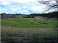 Grantown-on-Spey golf course