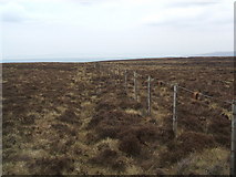 SD5750 : Fence on Greave Clough Head by David Brown