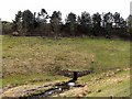 Tarn Beck, Tindale