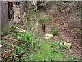 Generator House, old Roachburn Colliery